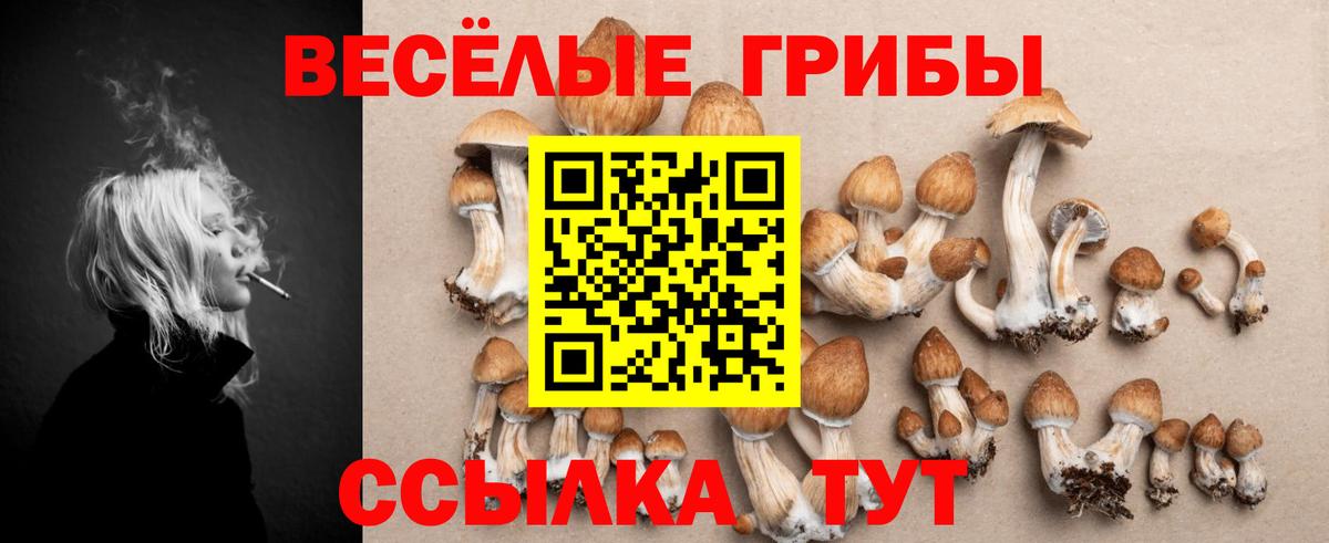 Псилоцибиновые грибы прущие грибы  Вход с VPN  Кирово-Чепецк 